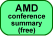 AMD analyst conference call Q4 2016